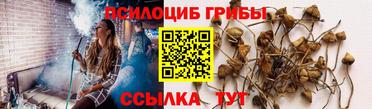 Псилоцибиновые грибы мухоморы Урай